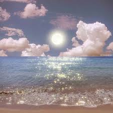 Ảnh đại diện người dùng Lê Thị Hồng